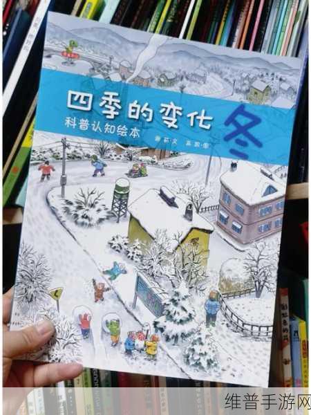 太阳的节气之旅冬，探索四季变换的休闲冒险之旅