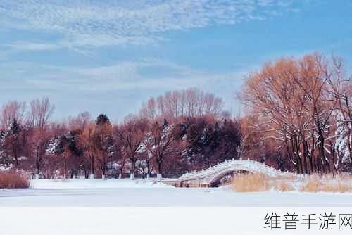 太阳的节气之旅冬,探索四季变换的休闲冒险之旅
