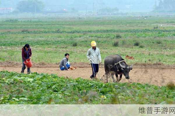 空闲农业小镇最新版下载，体验小镇农民的辛勤与乐趣