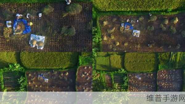 空闲农业小镇最新版下载,体验小镇农民的辛勤与乐趣