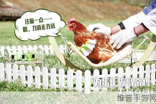 探秘下蛋冠军鸡游戏，魔性有趣的养鸡之旅全攻略