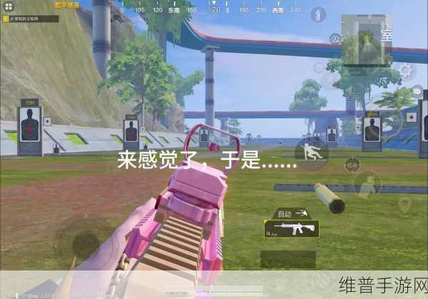 热血战场，全新FPS+TPS吃鸡游戏下载指南与攻略