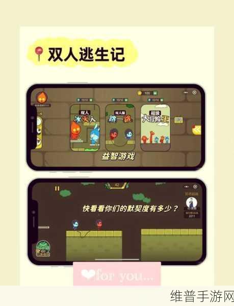 双人欢乐对决，解锁双人竞技游戏的无限乐趣与攻略指南