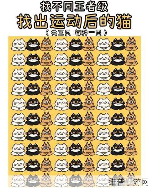全民火眼找茬游戏下载，探索画面精美与操作简便的娱乐新境界