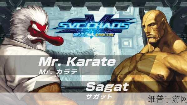 SNKvsCapcom千年之战中文版,超爽激斗冒险的终极动作游戏体验