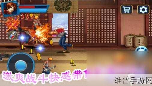 勇者干仗游戏下载，沉浸式格斗体验的动作游戏盛宴