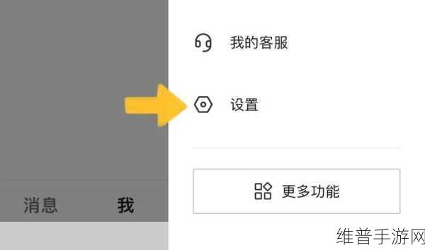抖音订单之谜，手游玩家的困惑与探索