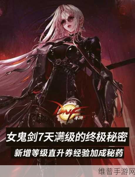 DNF 账号安全秘籍，防盗骗指南大揭秘