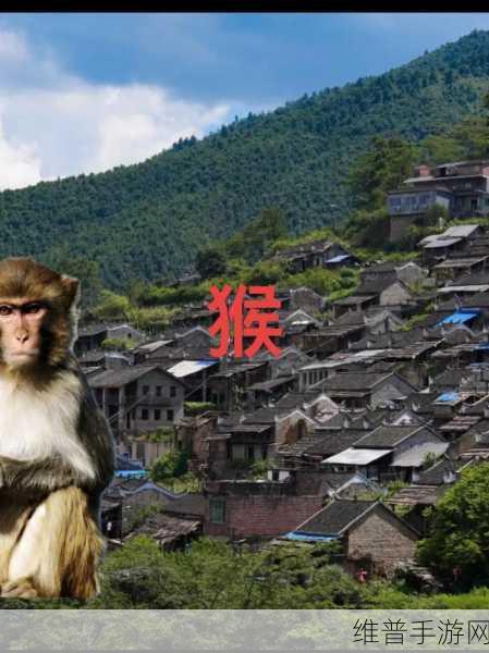 二人生猴子全程不盖被子真实：1. ＂二人默契：无被子的奇妙猴子之旅
