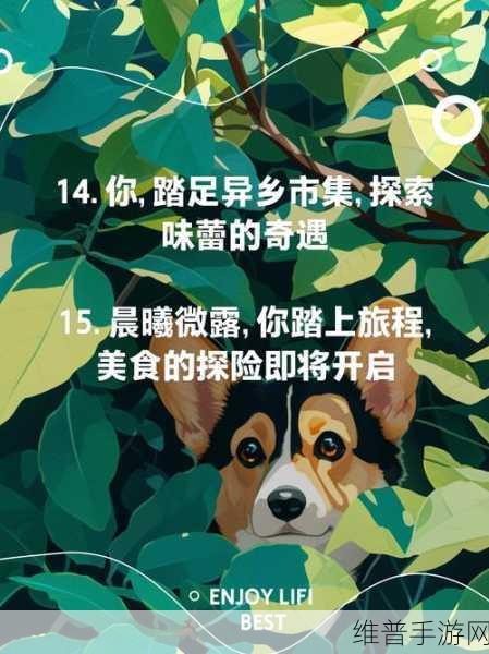 奇妙美食总动员，解锁味蕾的休闲益智之旅游戏下载攻略