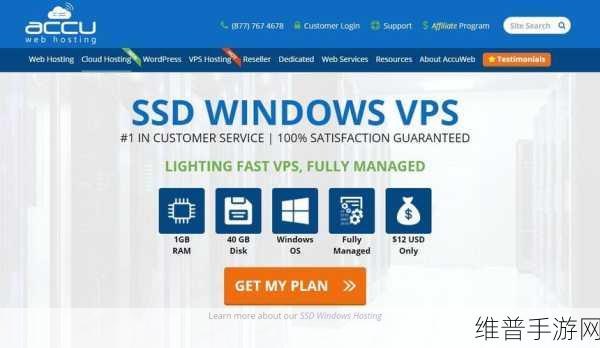 欧美vpswindows另类：1. ＂探索欧美VPS Windows的独特应用与优势