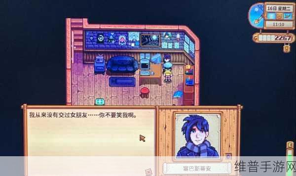 星露谷物语浪漫关系抉择，谁是你的最佳伴侣
