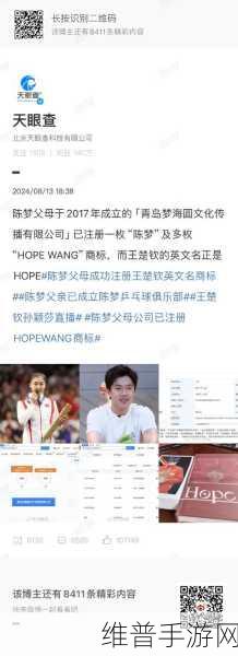王楚钦前女友发文内涵孙颖莎：1. 王楚钦前女友暗讽孙颖莎，引发关注
