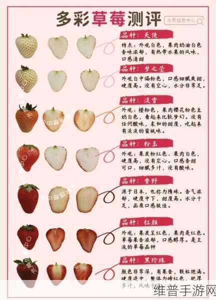 草莓视频a站：1. 草莓视频A站：探索无限精彩的短视频世界