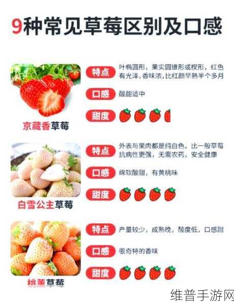 草莓视频a站:1. 草莓视频A站:探索无限精彩的短视频世界