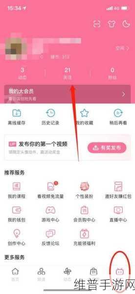 18款禁用b站入口软件:1.揭秘18款禁用B站入口软件的真相与替代方案