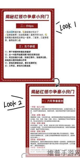 八卦有理爆料无罪红领巾：1. 八卦揭秘：红领巾背后的秘密与故事