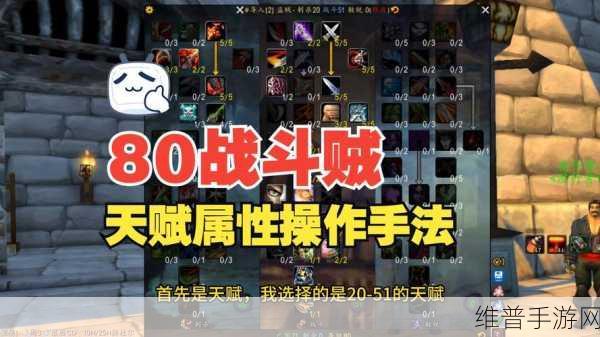 wlk盗贼pve天赋选择:WLK盗贼PVE天赋选择与装备搭配指南