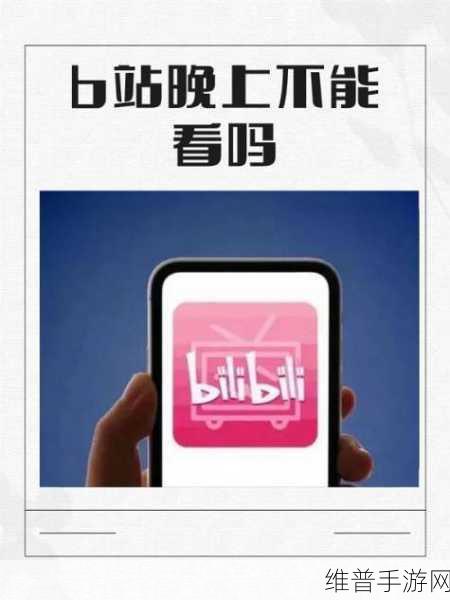 夜间b站