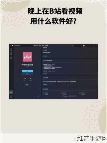 夜间b站