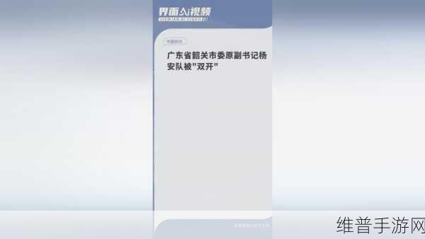 17c已起草：1. “全面解析17c条例对未来发展的影响”