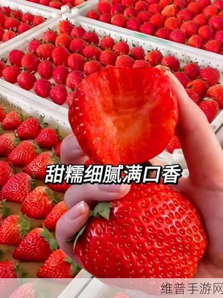 草莓视频69cm.TV：当然可以！以下是一些基于“草莓视频69cm.TV”的创意