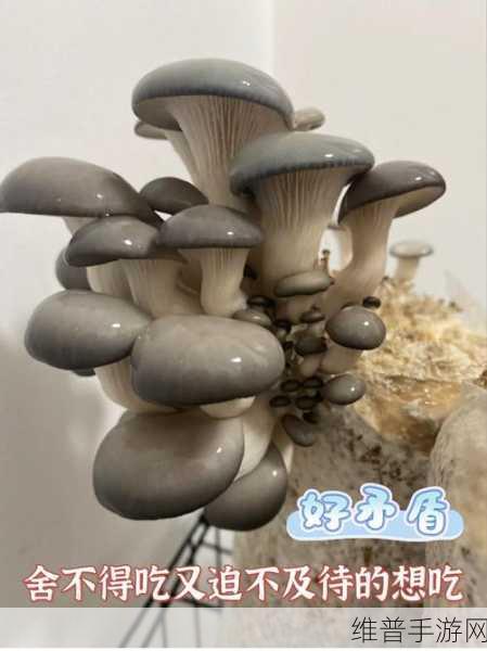 7x7x7x7x任意槽蘑菇：1. ＂探索7x7x7x7x槽蘑菇的神秘世界
