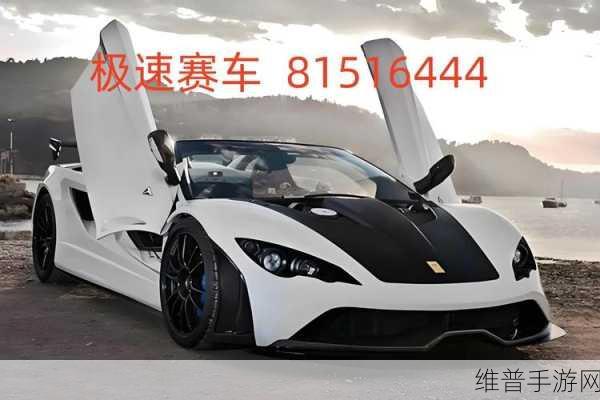极速追逐赛,燃爆指尖的赛车盛宴——游戏下载全攻略