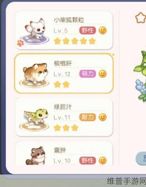 奥比岛手游，首日光速升级秘籍大公开