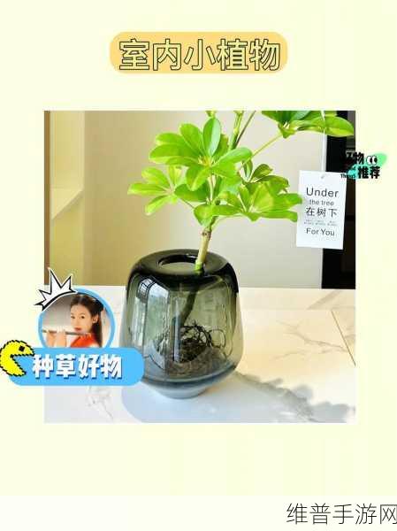 17c一起种草：1. 17c一起种草：探索绿色生活的无限可能