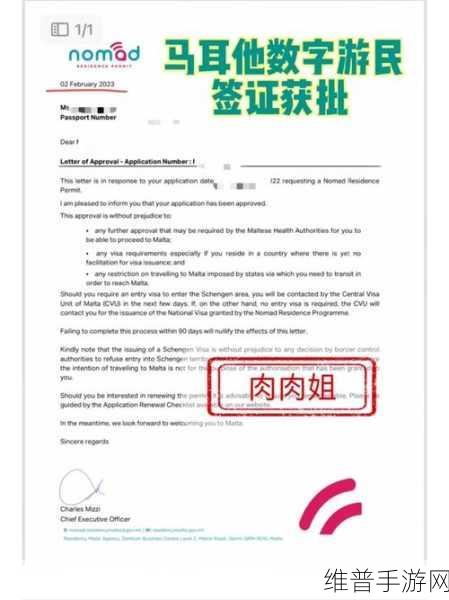 欧洲视频卡一：1. 欧洲视频卡发展趋势与市场前景分析