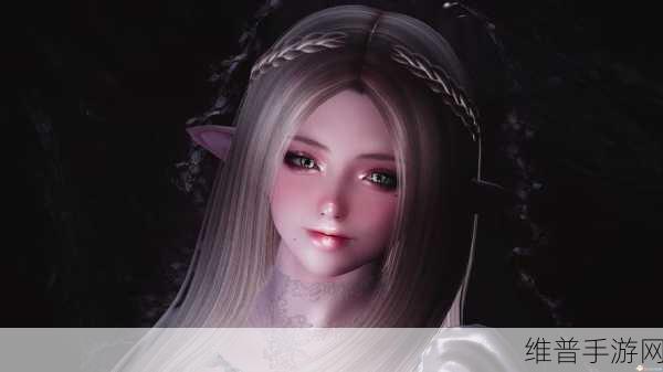 上古卷轴 5 重制版，简单随从扩展 MOD 全解析