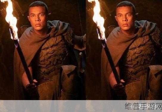 世界最大级の黒人:世界最大级的黑人与文化交融:探索多元身份