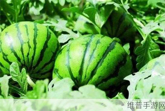 51每日吃瓜必吃大瓜2024年2月4日：1. 2024年2月4日热议：吃瓜界的新趋势