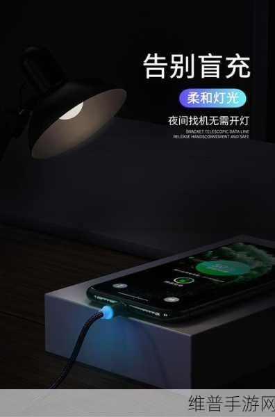如何用数据线惩罚自己：1. 用数据线自我惩罚的独特方法探索