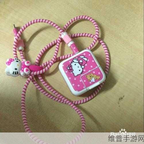 如何用数据线惩罚自己:1. 用数据线自我惩罚的独特方法探索