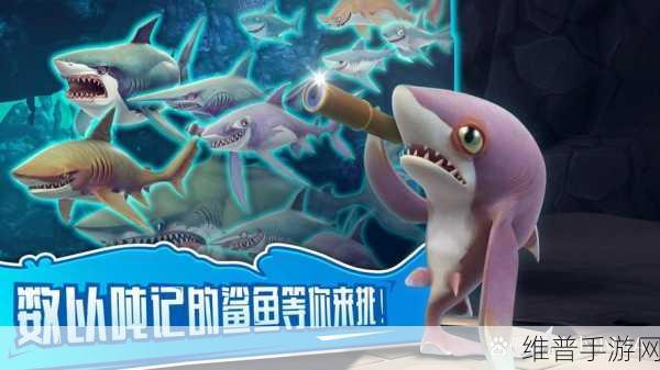 饥饿鲨进化,鲨鱼全开版下载攻略——指尖激斗的海洋盛宴