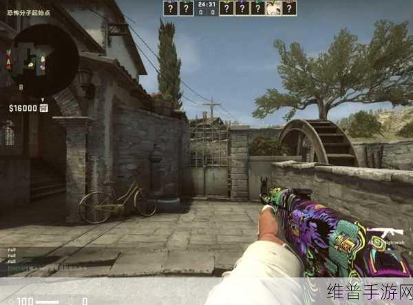 csgo暴躁小老妹视频:1. "CSGO暴躁小老妹:冲锋陷阵,游戏中的疯狂瞬间