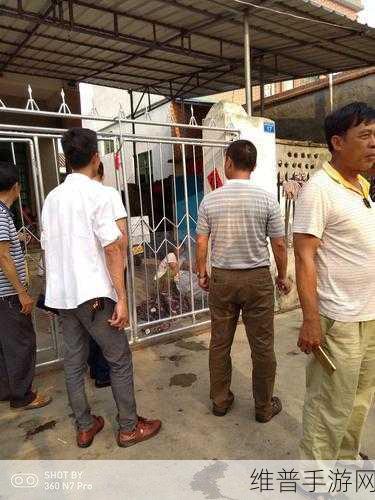 人马畜禽共性关系的重要性：人马畜禽共性关系对生态平衡的影响研究