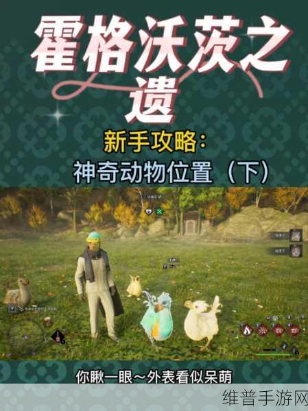 霍格沃茨之遗好贵啊:当然可以,以下是一些关于《霍格沃茨之遗》的新标题建议: