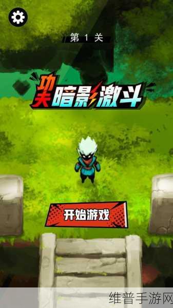 功夫碎砖手游下载，动作类闯关游戏的极致体验