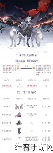 奇迹暖暖破晓之战雪原危局高分搭配秘籍
