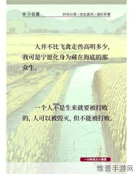 深入探索老人与海游戏下载，火山哥哥自制捕鱼小游戏的魅力攻略