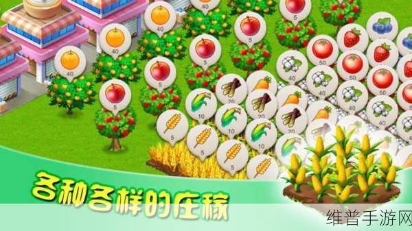 老爷爷农场红包版，欢乐田园模拟的休闲新体验