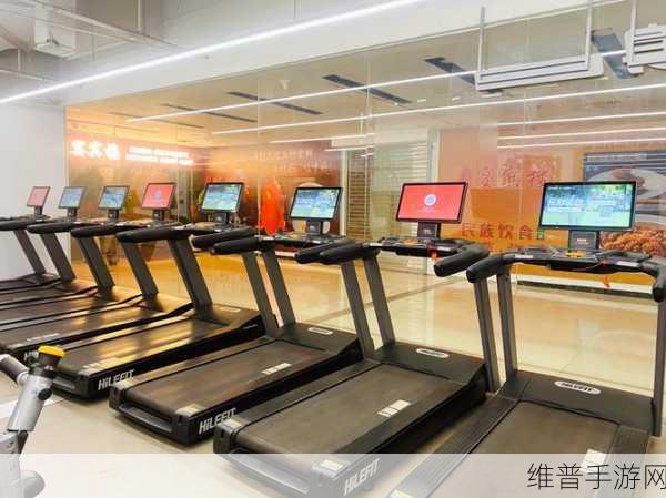 体育健身游戏下载指南，探索休闲的模拟健身新世界