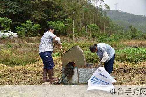 欢乐农家菜,体验田园乐趣的休闲益智小游戏全攻略