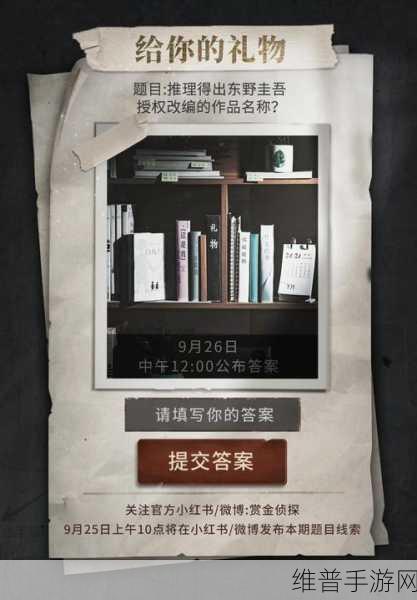 赏金侦探东野圭吾谎言的背面，深度解析与完整攻略