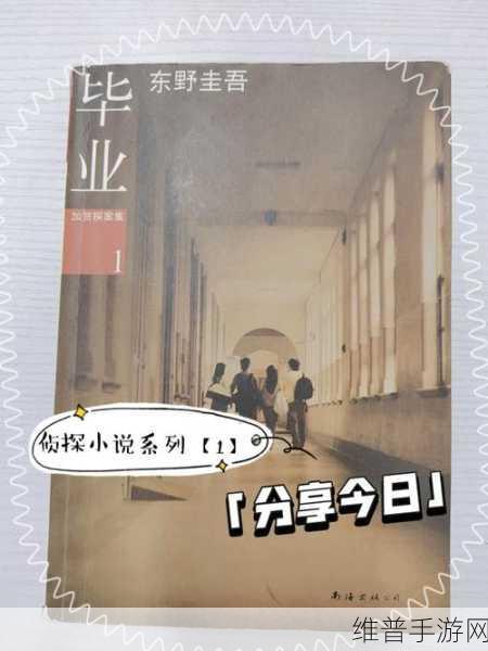 赏金侦探东野圭吾谎言的背面，深度解析与完整攻略