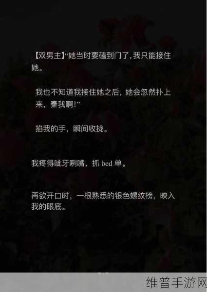 一上来就飙车的双男主小说推荐:当然可以!以下是一些基于双男主飙车主题的小说标题推荐: