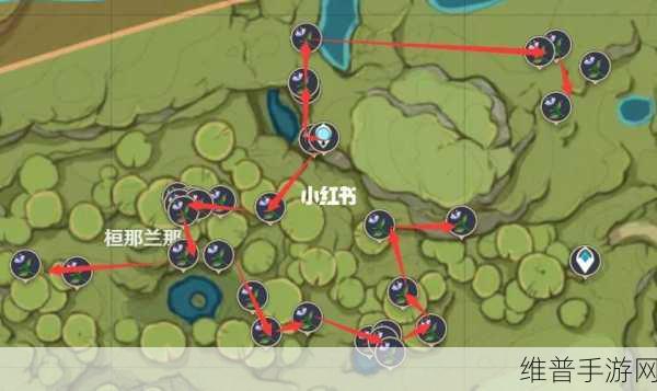 原神帕蒂沙兰采集全攻略，探索丰富资源